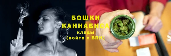 ПСИЛОЦИБИНОВЫЕ ГРИБЫ Абаза