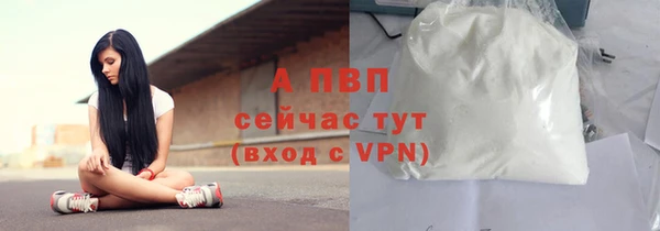 СК Магадан
