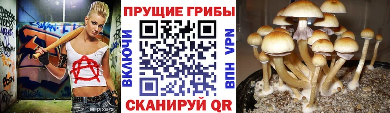 Псилоцибиновые грибы Psilocybine cubensis  ссылка на мегу ссылка  Тарко-Сале  наркота 